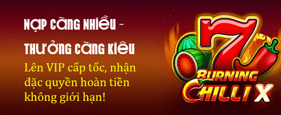 Trải Nghiệm Live Casino Đỉnh